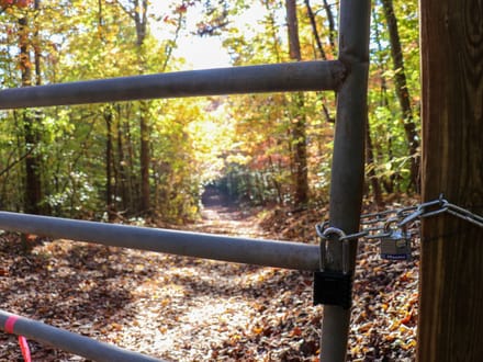 Tract A – 5.27 Acres of Wooded Land in Henry County, Virginia
