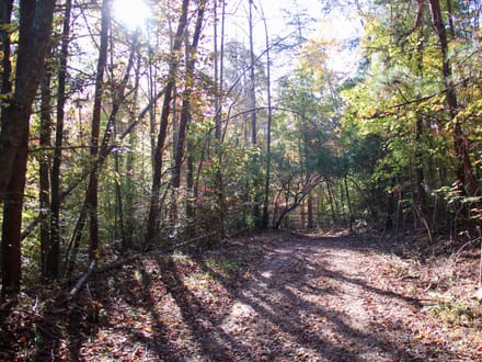 Tract A – 5.27 Acres of Wooded Land in Henry County, Virginia