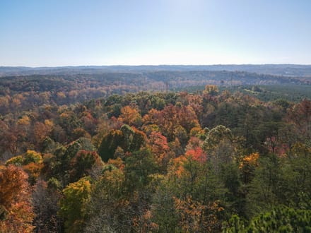 Tract A – 5.27 Acres of Wooded Land in Henry County, Virginia