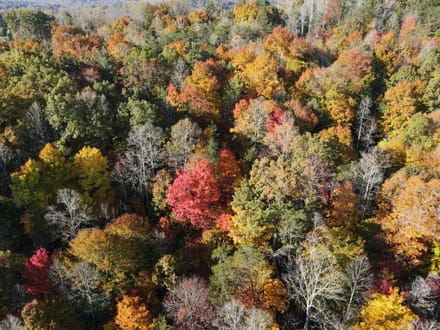 Tract A – 5.27 Acres of Wooded Land in Henry County, Virginia