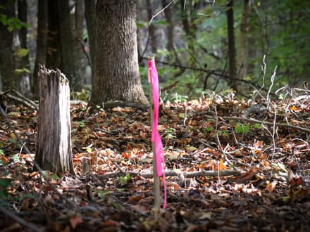 Tract A – 5.27 Acres of Wooded Land in Henry County, Virginia
