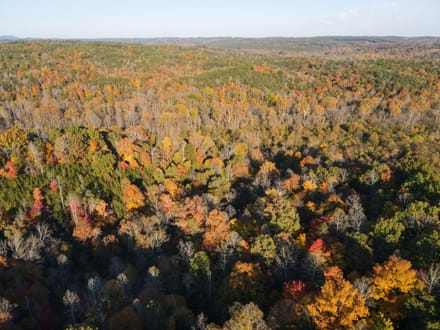 Tract A – 5.27 Acres of Wooded Land in Henry County, Virginia