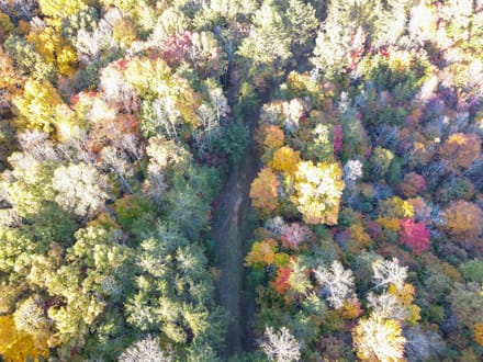 Tract B – 27.23 Acres of Wooded Land in Henry County, Virginia