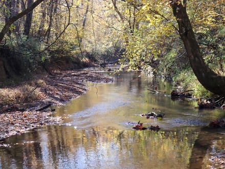 Tract B – 27.23 Acres of Wooded Land in Henry County, Virginia