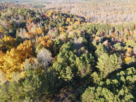 Tract B – 27.23 Acres of Wooded Land in Henry County, Virginia
