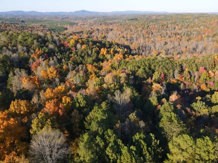 Tract B – 27.23 Acres of Wooded Land in Henry County, Virginia