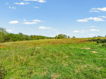 78 Acres on Eli Rd