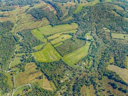 78 Acres on Eli Rd