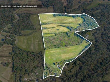 78 Acres on Eli Rd