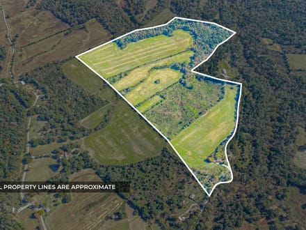 78 Acres on Eli Rd