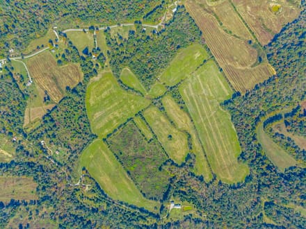 78 Acres on Eli Rd