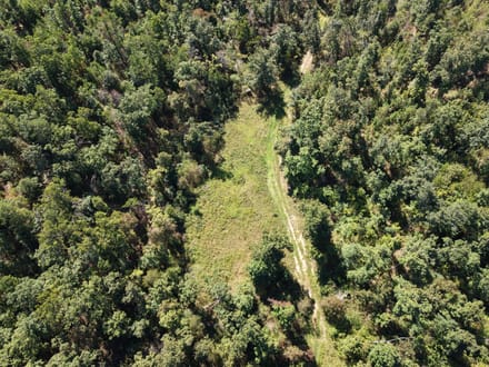 000 Coldwater Creek Road (Lot 4), Womack, MO-Ste. Genevieve Co. 10.08 +/- Acres