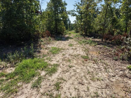 000 Coldwater Creek Road (Lot 1), Womack, MO-Ste. Genevieve Co. 11.25 +/- Acres