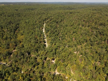 000 Coldwater Creek Road, Womack, MO-Ste. Genevieve Co. 241 +/- Acres