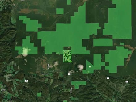 000 Coldwater Creek Road (Lot 2), Womack, MO-Ste. Genevieve Co. 5.53 +/- Acres
