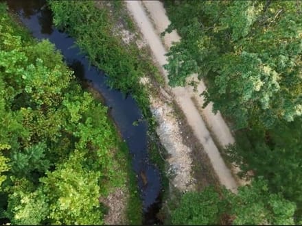 000 U Highway Piedmont, MO- Wayne Co. 126+/- Acres