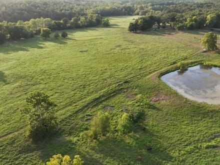 000 U Highway Piedmont, MO- Wayne Co. 126+/- Acres