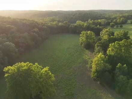 000 U Highway Piedmont, MO- Wayne Co. 126+/- Acres
