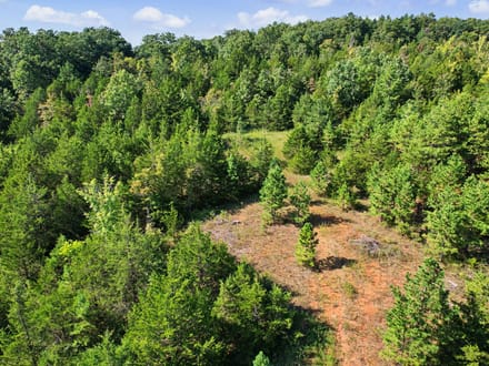 20720 State Hwy C, Belgrade, MO-Washington Co. 8.99 +/- Acres