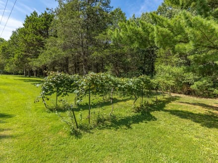 250 Meadow Woods Road, Hillsboro, MO-Jefferson Co. 