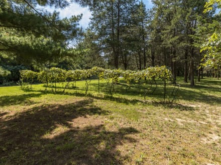 250 Meadow Woods Road, Hillsboro, MO-Jefferson Co. 