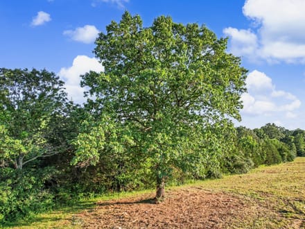 12621 Hyfield Road De Soto, MO-Jefferson Co.