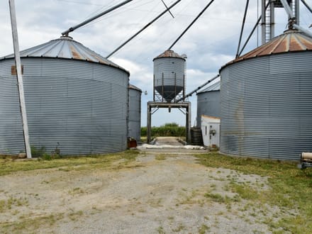  1488 Liberty Rd Corydon, IA-Wayne Co. 7+/- Acres
