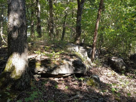 11936 MO-8, Potosi, MO-Washington Co. 20.45+/- Acres