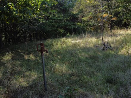 11936 MO-8, Potosi, MO-Washington Co. 20.45+/- Acres