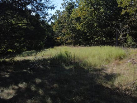 11936 MO-8, Potosi, MO-Washington Co. 20.45+/- Acres