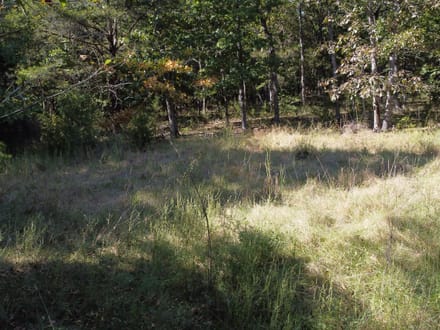 11936 MO-8, Potosi, MO-Washington Co. 20.45+/- Acres