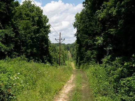0 North Street, Irondale, MO-Washington Co. 84 +/- Acres