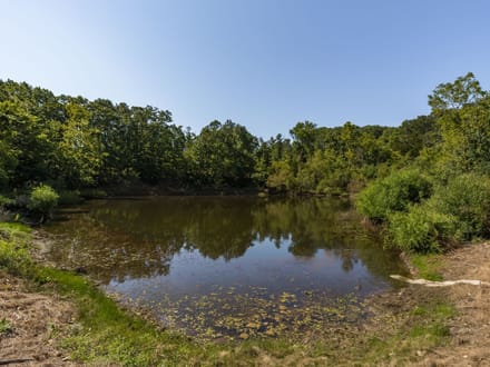 3001 Crow Ln, Bonne Terre, MO-St. Francois Co. 48+/- Acres