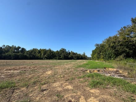 Long Creek Farm