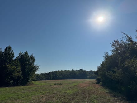 Long Creek Farm