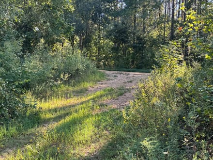 Long Creek Farm