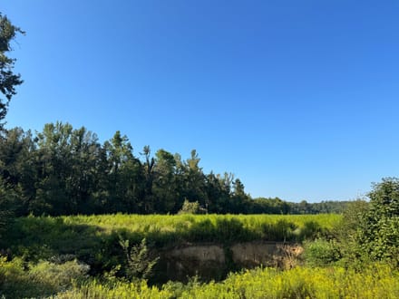 Long Creek Farm