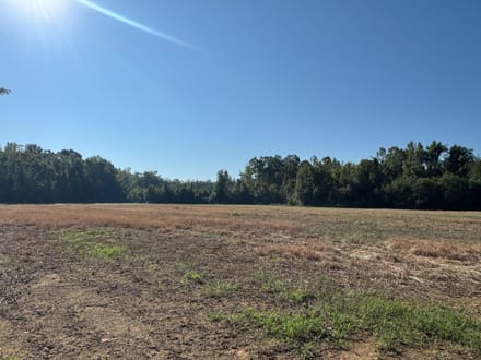 Long Creek Farm