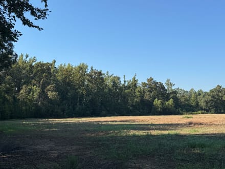Long Creek Farm
