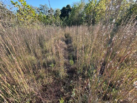 South Marshall 46 Acres