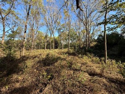 South Marshall 46 Acres