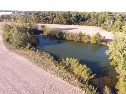South Marshall 46 Acres