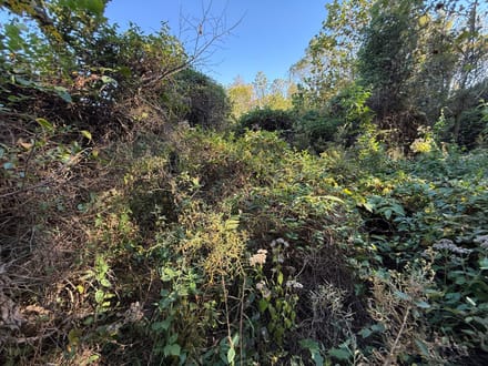 South Marshall 46 Acres