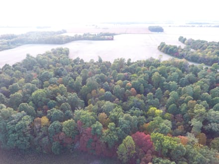 South Marshall 20 
