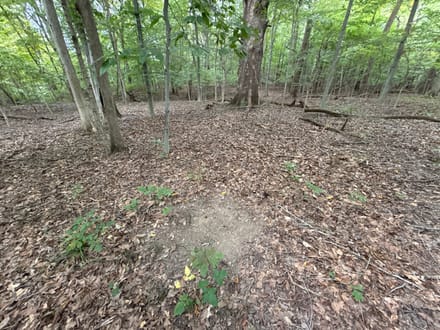 South Marshall 20 