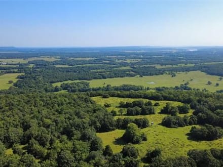 A HUNTER’S DREAM IN THE HEART OF SOUTHEASTERN OKLAHOMA! 