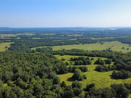 A HUNTER’S DREAM IN THE HEART OF SOUTHEASTERN OKLAHOMA! 