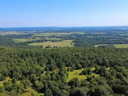A HUNTER’S DREAM IN THE HEART OF SOUTHEASTERN OKLAHOMA! 