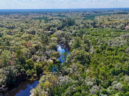 Little Satilla River Paradise