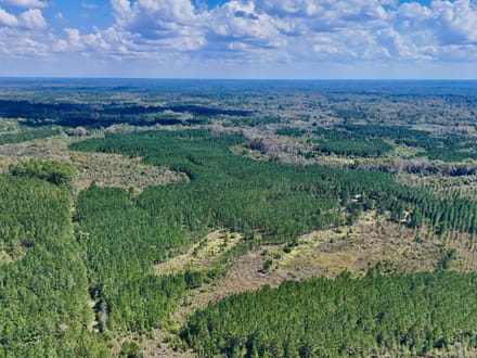 Little Satilla River Paradise
